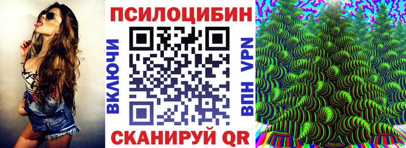 Псилоцибиновые грибы Cubensis где купить Краснокаменск