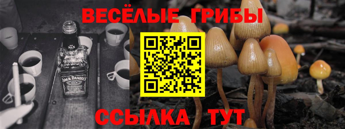 Галлюциногенные грибы мухоморы  Краснокаменск  Галлюциногенные грибы MAGIC MUSHROOMS 